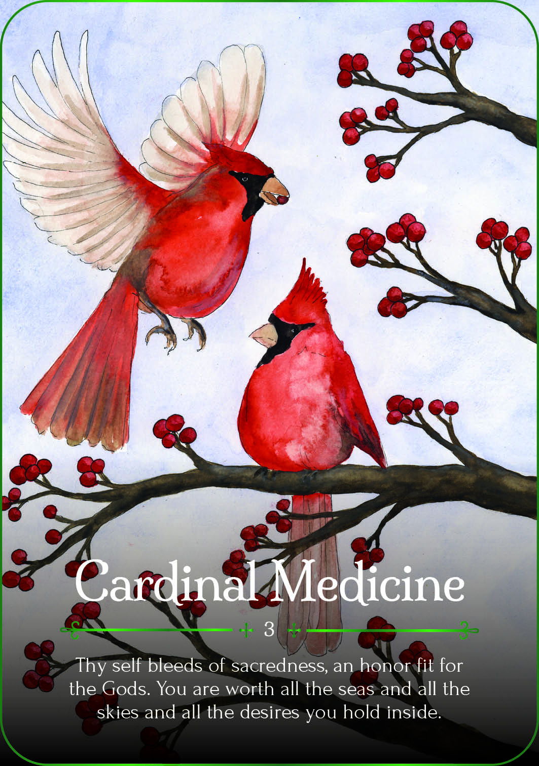 Seasons of the Witch: Yule Oracle Cards